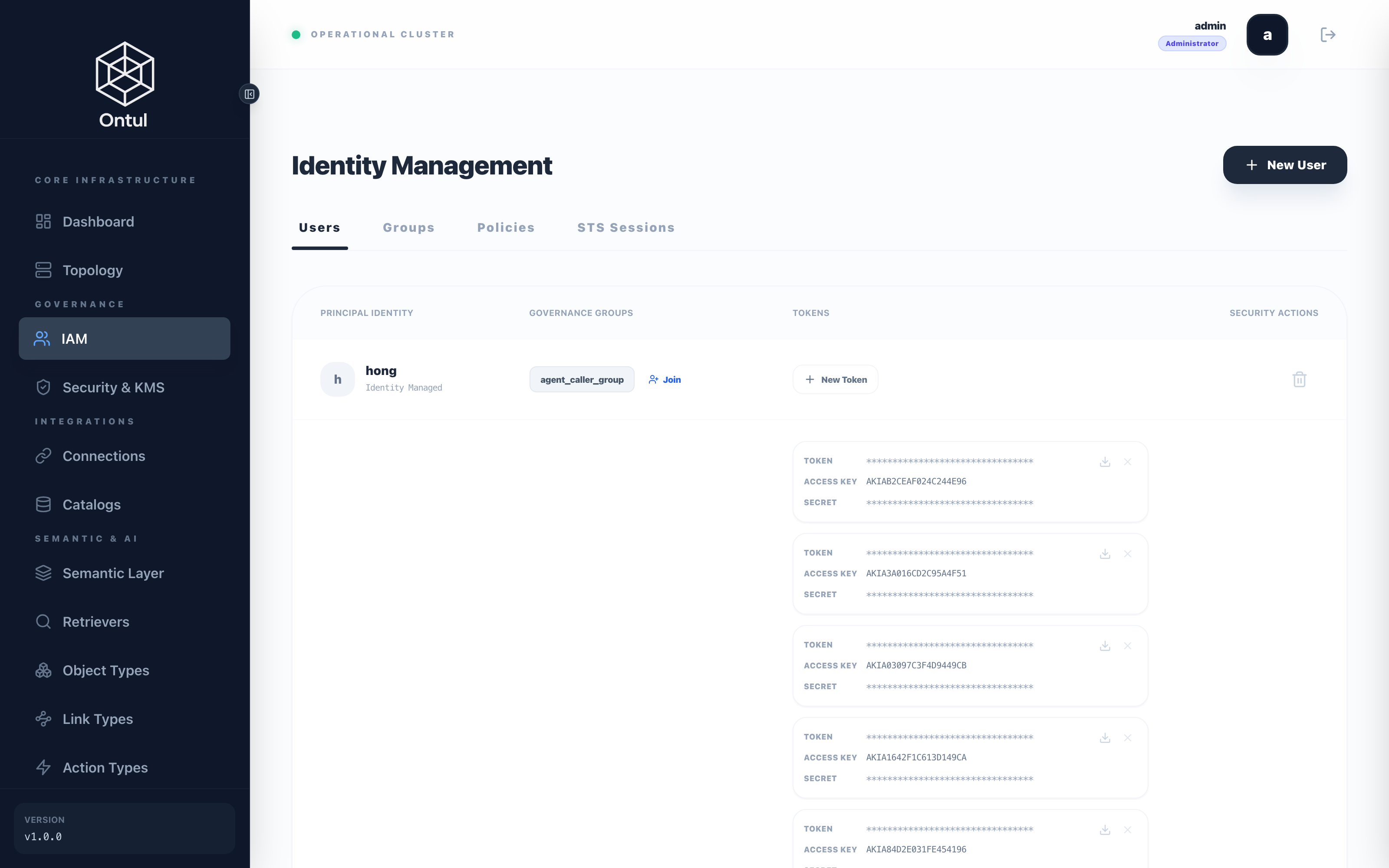 The IAM page